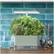 Alt View 13. AeroGarden - Harvest Elite – Indoor Garden - Easy Setup - 6 Gourmet Herb pods included - Sage Green.