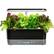 Front. AeroGarden - Harvest Elite Slim 6-Pod with Gourmet Herb Seed Pod Kit - Platinum.