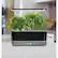 Alt View 12. AeroGarden - Harvest Elite Slim 6-Pod with Gourmet Herb Seed Pod Kit - Platinum.