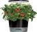 Alt View 11. AeroGarden - Harvest Elite 360 6-Pod with Gourmet Herb Seed Pod Kit - Platinum Stainless.