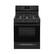Front. Frigidaire - 5.0 Cu. Ft. Freestanding Gas Range - Black.