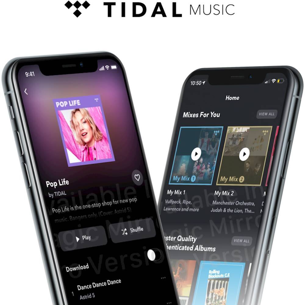 Alt View 14. TIDAL - Premium 3 Month Initial Term, then $9.99 per Month.