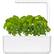 Front Zoom. Click & Grow - Smart Garden 3-Pod - White.