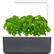Front. Click & Grow - Smart Garden 3-Pod - Gray.