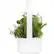 Alt View 13. Click & Grow - Smart Garden 9-Pod - White.