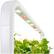 Alt View 15. Click & Grow - Smart Garden 9-Pod - White.