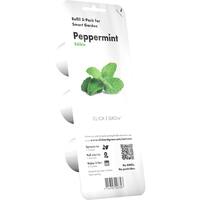 Click & Grow - Peppermint 3 Grow Pods - Green - Angle_Zoom