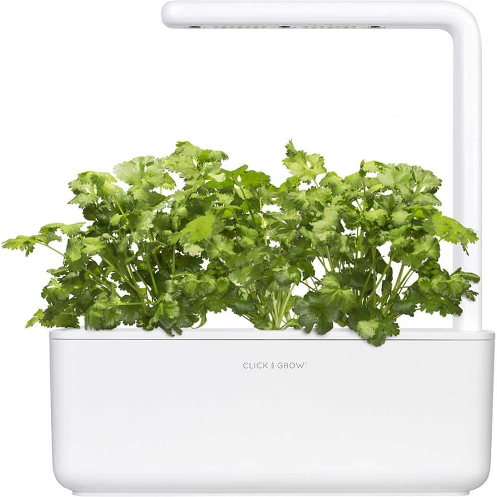 Best Buy: Click & Grow Cilantro/Coriander 3 Grow Pods Green SGR45X3