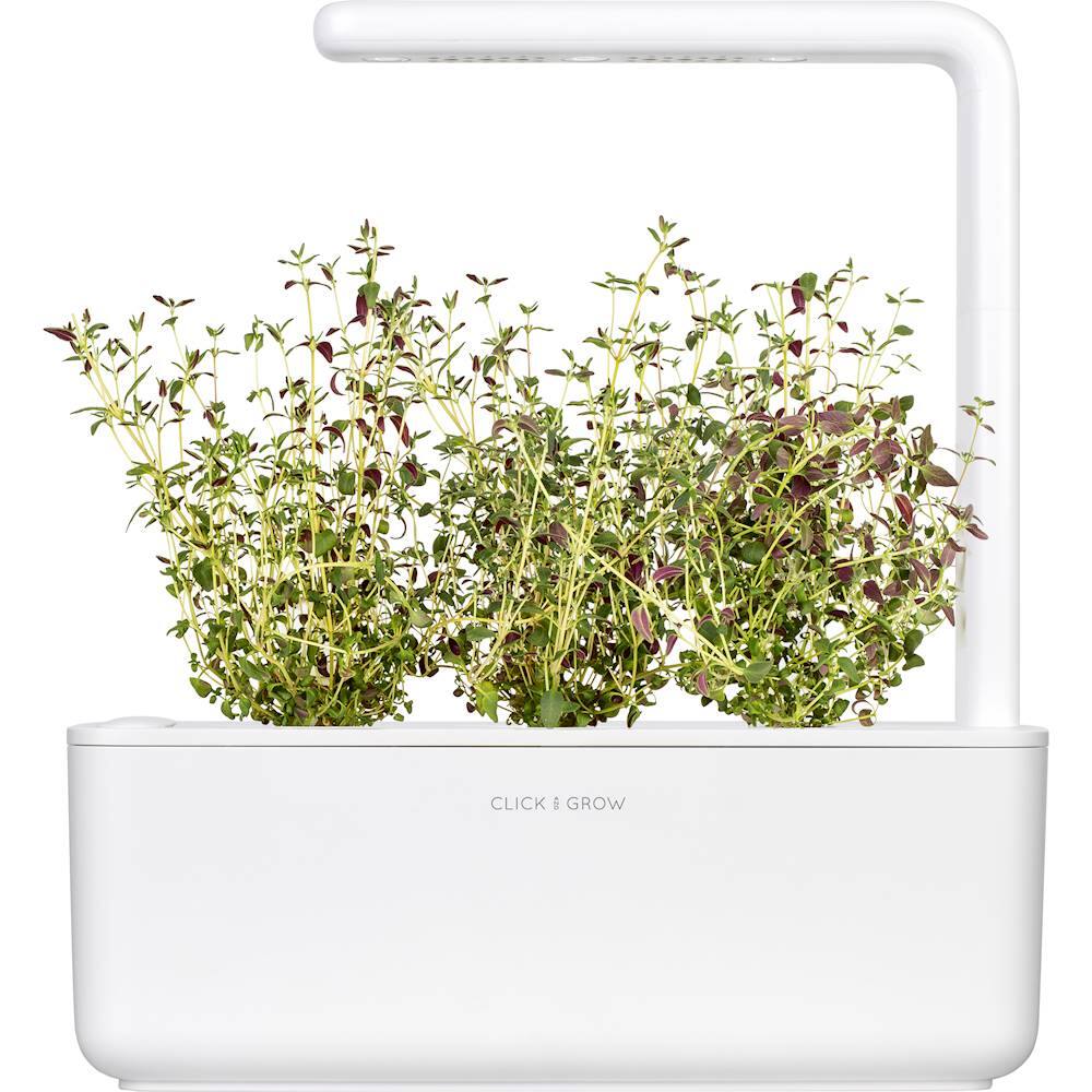 Best Buy: Click & Grow Thyme 3 Grow Pods Green Sgr17x3