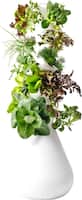 Lettuce Grow - Farmstand 30-Pod - White - Front_Zoom