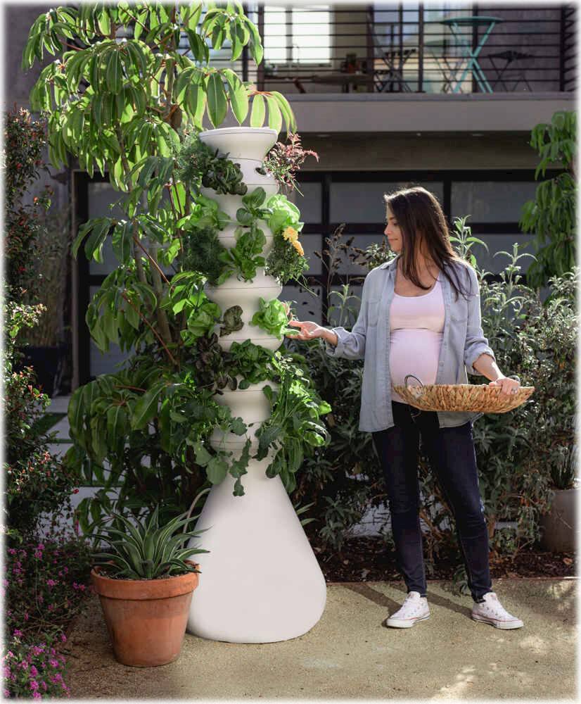 Customer Reviews Lettuce Grow Farmstand 30Pod White LETTUCE_GROW_30