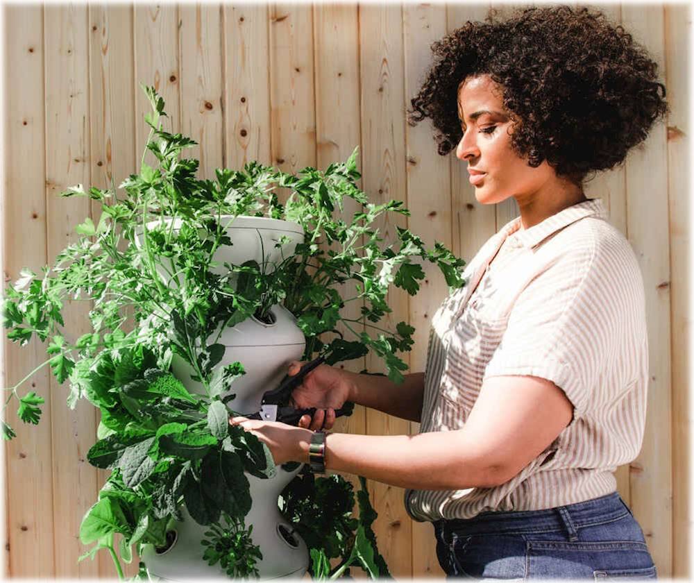 Customer Reviews Lettuce Grow Farmstand 30Pod White LETTUCE_GROW_30