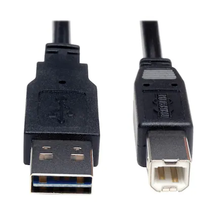 Angle. Tripp Lite - 6' USB Type B-to-USB Type A Cable - Black.