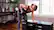 Alt View 19. FITBENCH - FLEX Bench - Black.