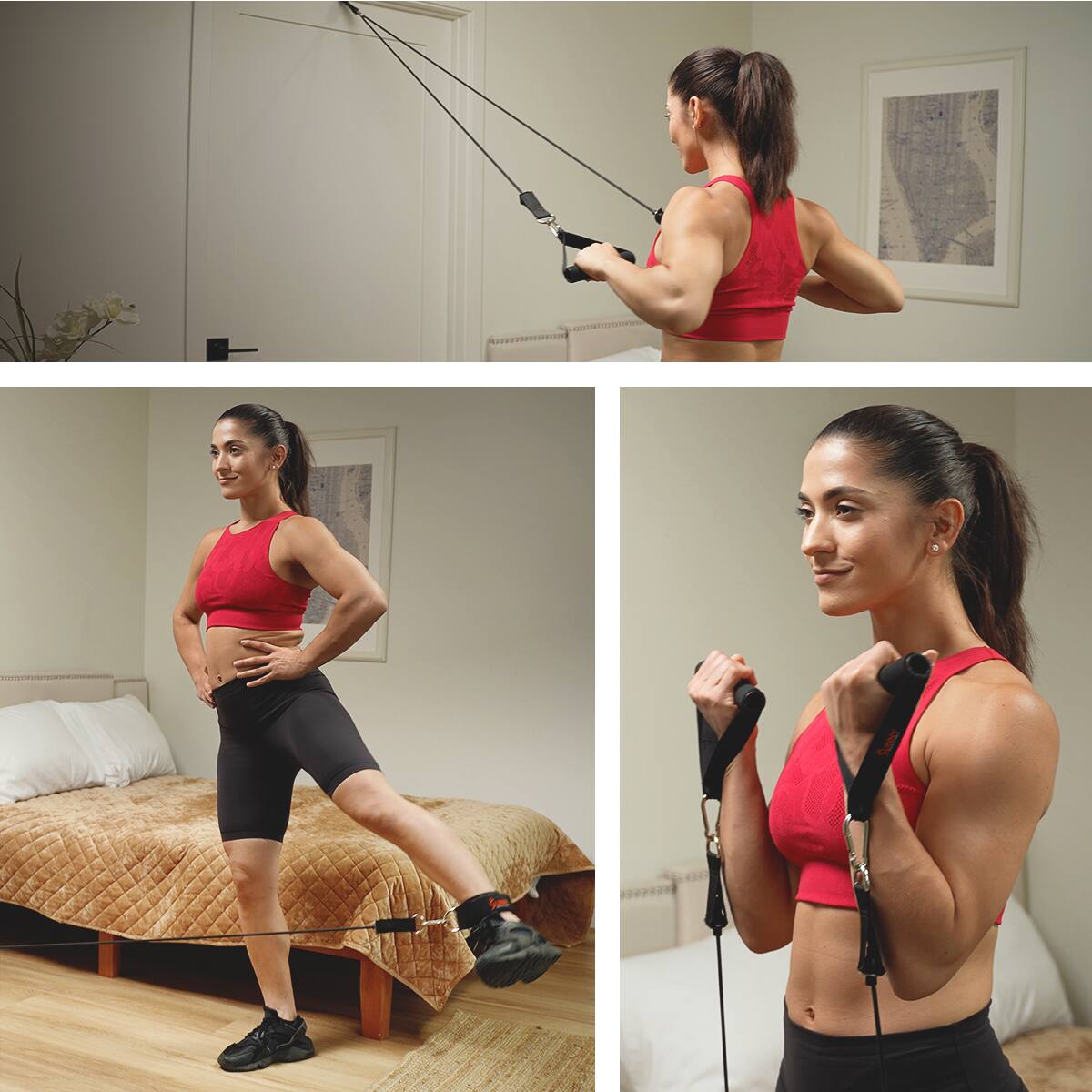 Back. Sunny Health & Fitness - Resistance Tube Set - 10-50 lbs - Black.