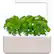 Front. Click & Grow - Smart Garden 3-Pod - Beige.