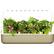 Front. Click & Grow - Smart Garden 9-Pod - Beige.