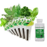 AeroGarden - Gourmet Herbs (6-Pod) - Green - Front_Zoom