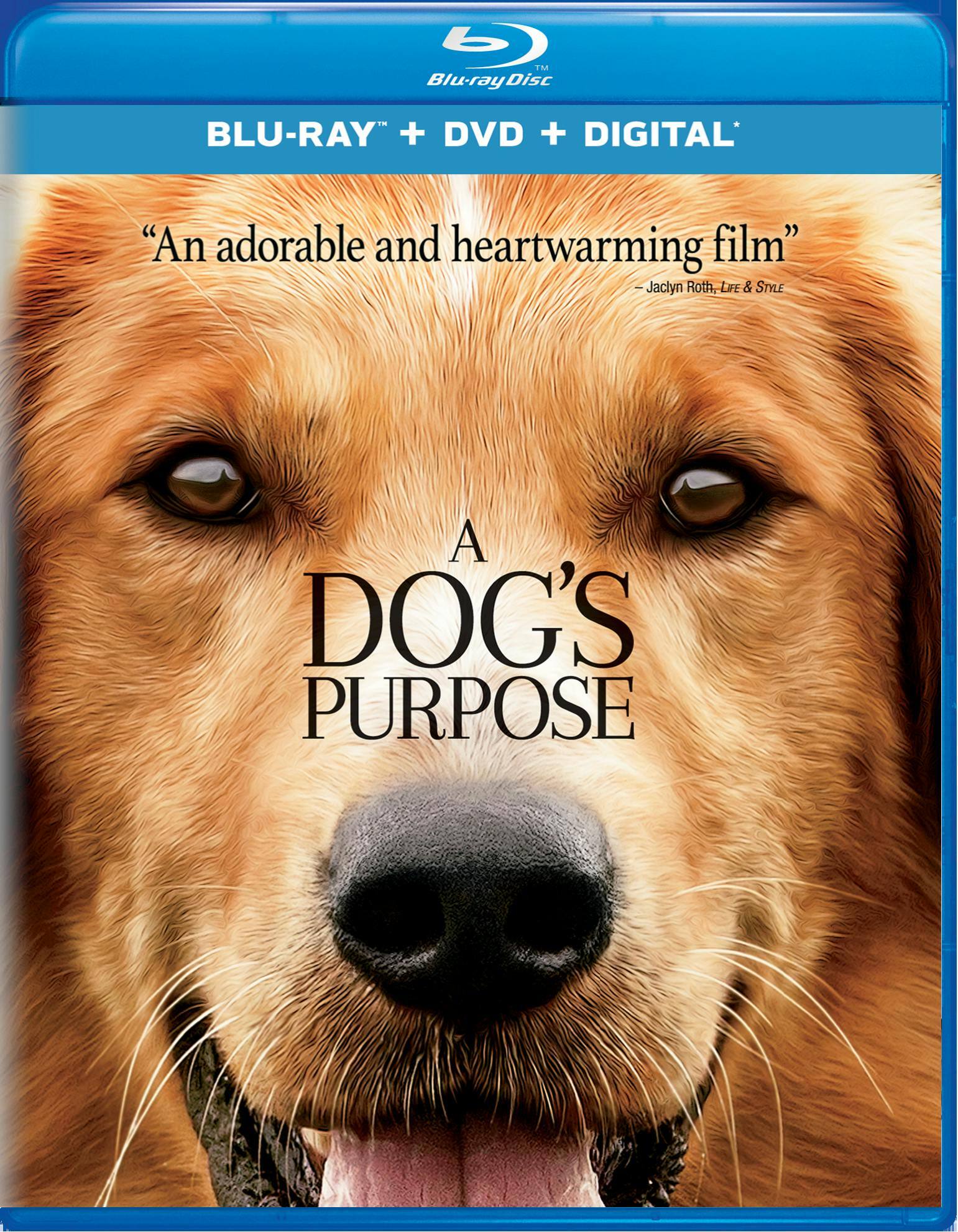 Front. A Dog's Purpose (DVD + Digital) [Blu-ray].
