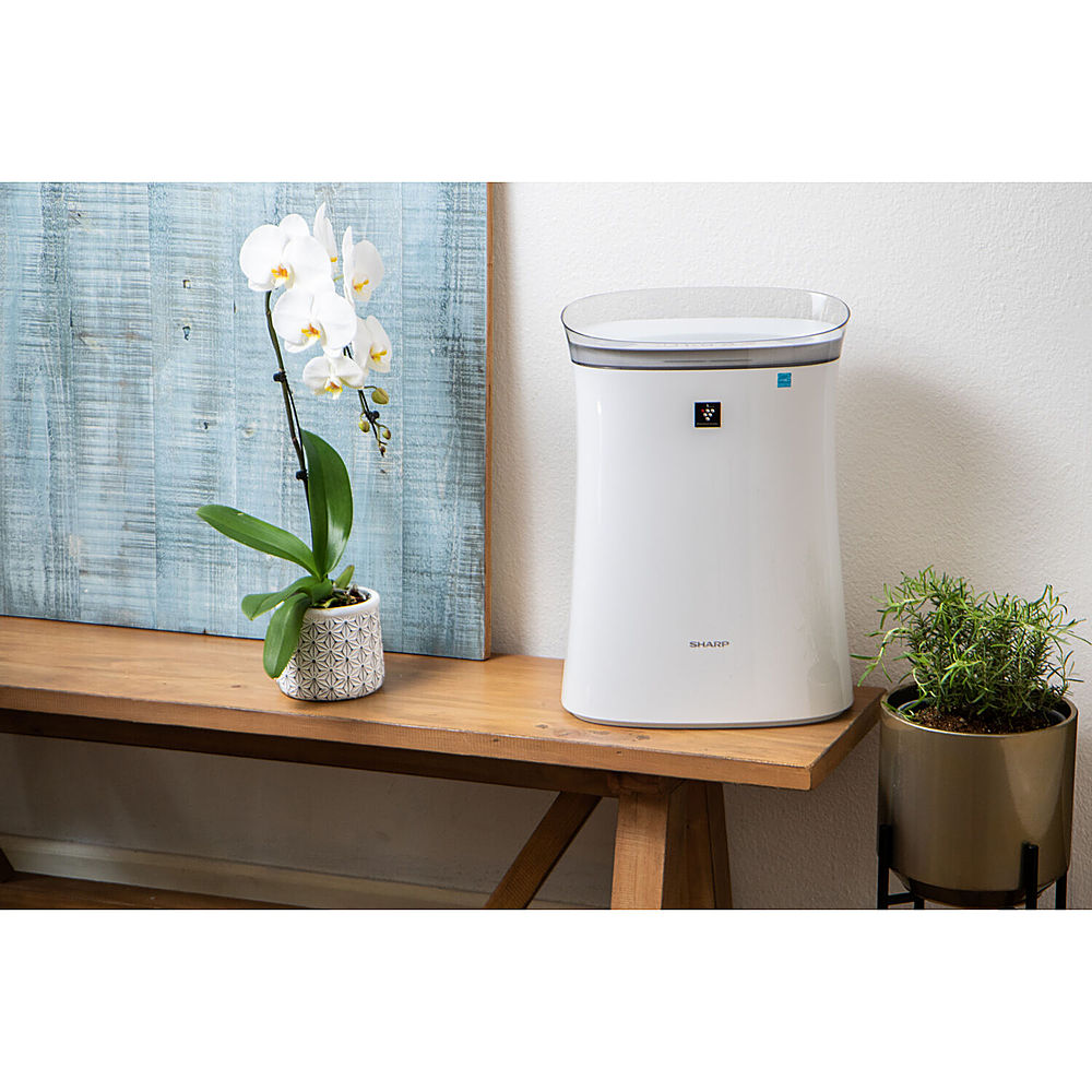Sharp Air Purifier with Plasmacluster Ion Technology Recommended