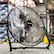 Alt View 16. NewAir - 3000 CFM 18” High Velocity Portable Floor Fan with 3 Fan Speeds and Long-Lasting Ball Bearing Motor - Black.