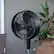 Alt View 13. NewAir - Outdoor Misting Fan and Pedestal Fan, Cools 500 sq. ft. with 3 Fan Speeds and Wide-Angle Oscillation - Black.