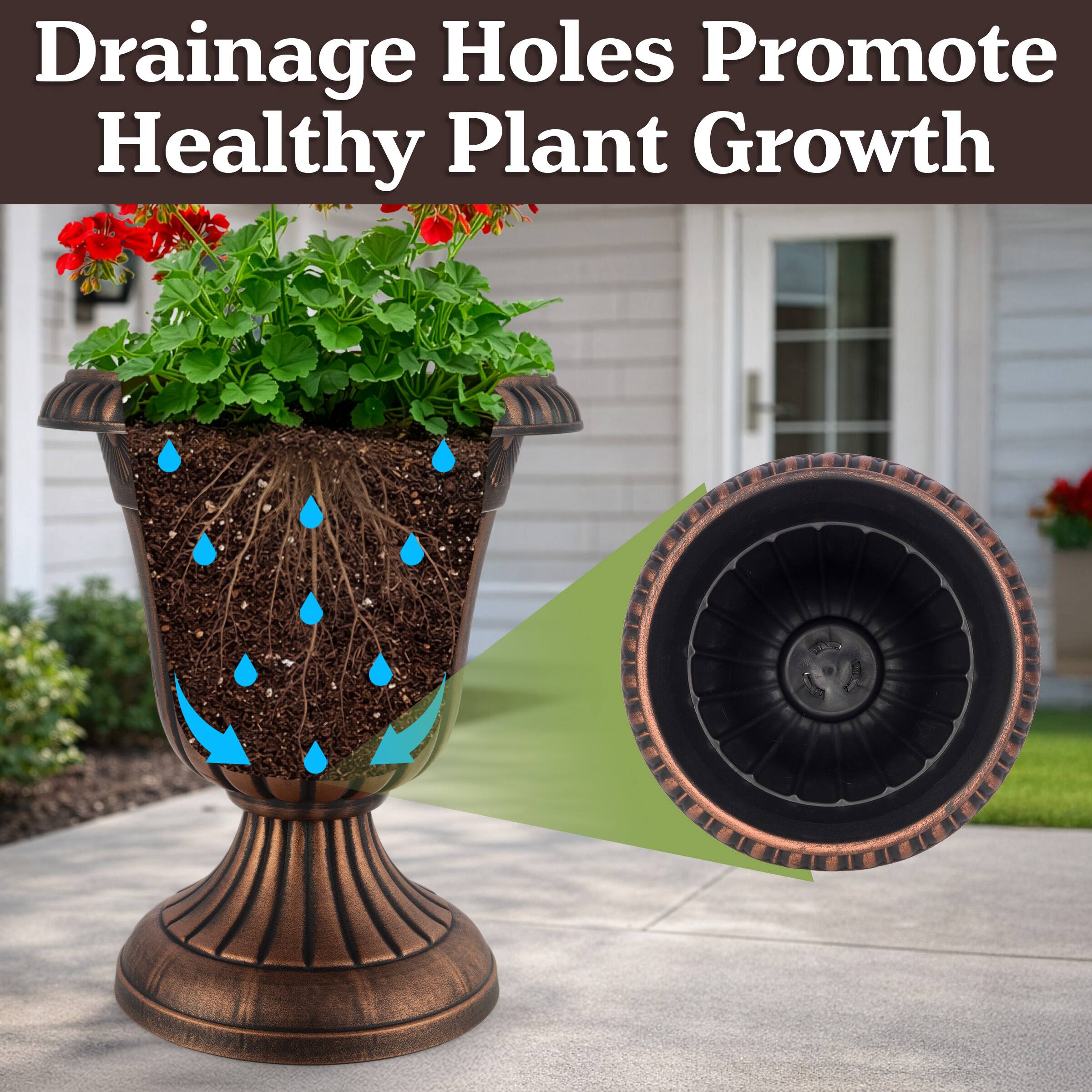 Drainage Holes Promote Healthy Plant Growth
