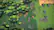 Alt View 19. Sold Out - The Survivalists.