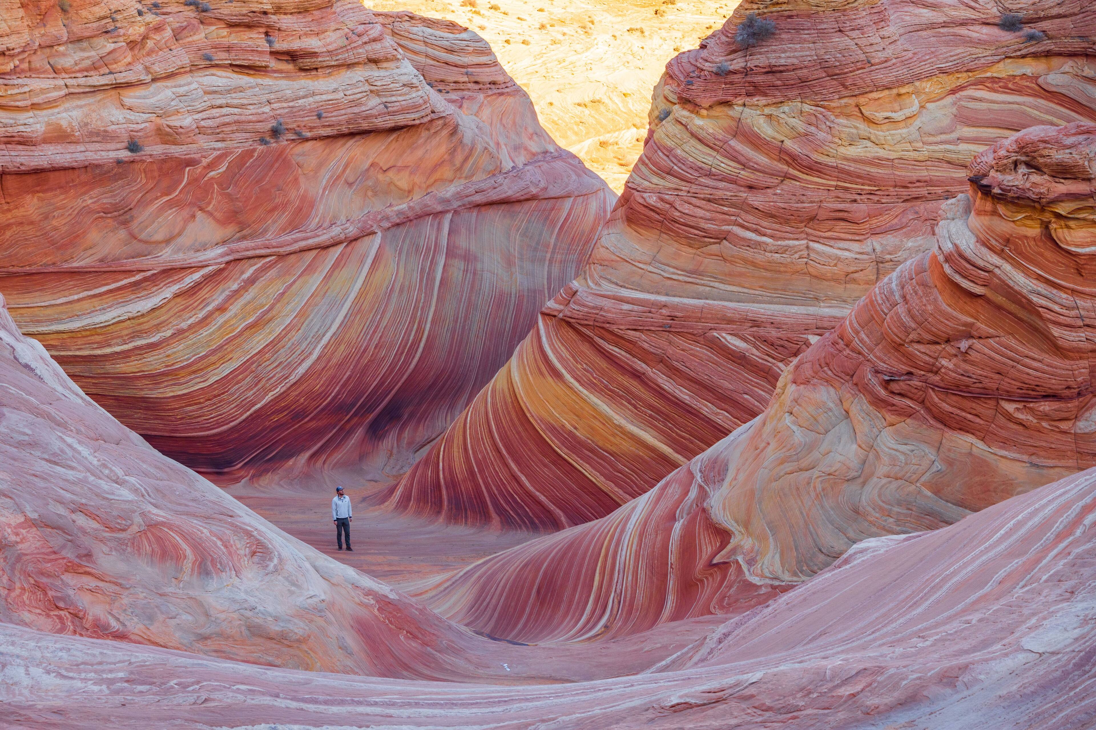 Alt View 14. Canon - EOS R5 Mirrorless Camera with RF 24-105mm f/4L IS USM Lens - Black.