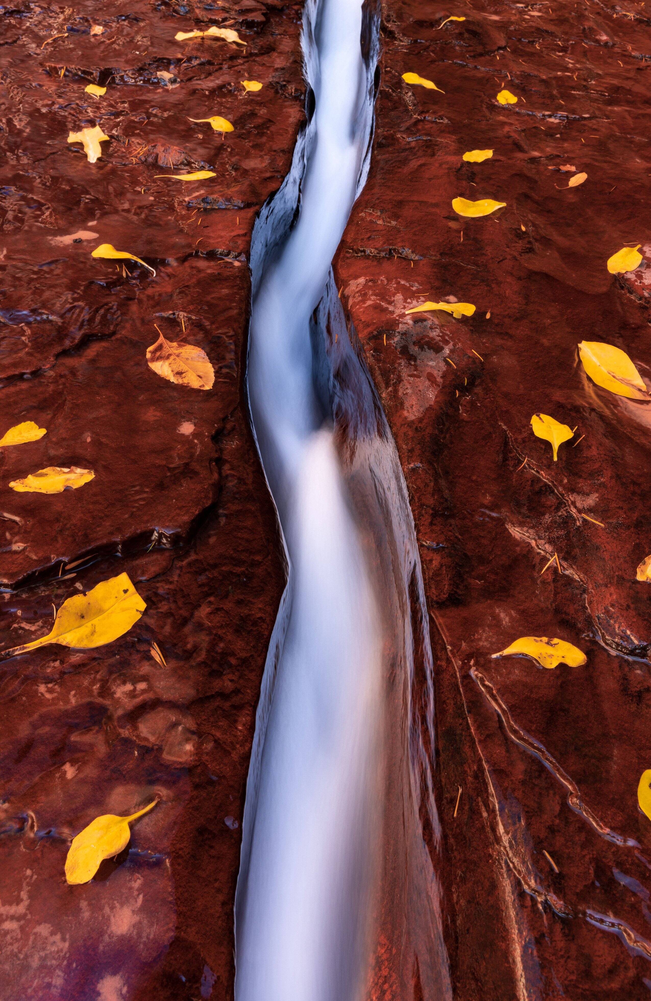 Alt View 20. Canon - EOS R5 Mirrorless Camera with RF 24-105mm f/4L IS USM Lens - Black.