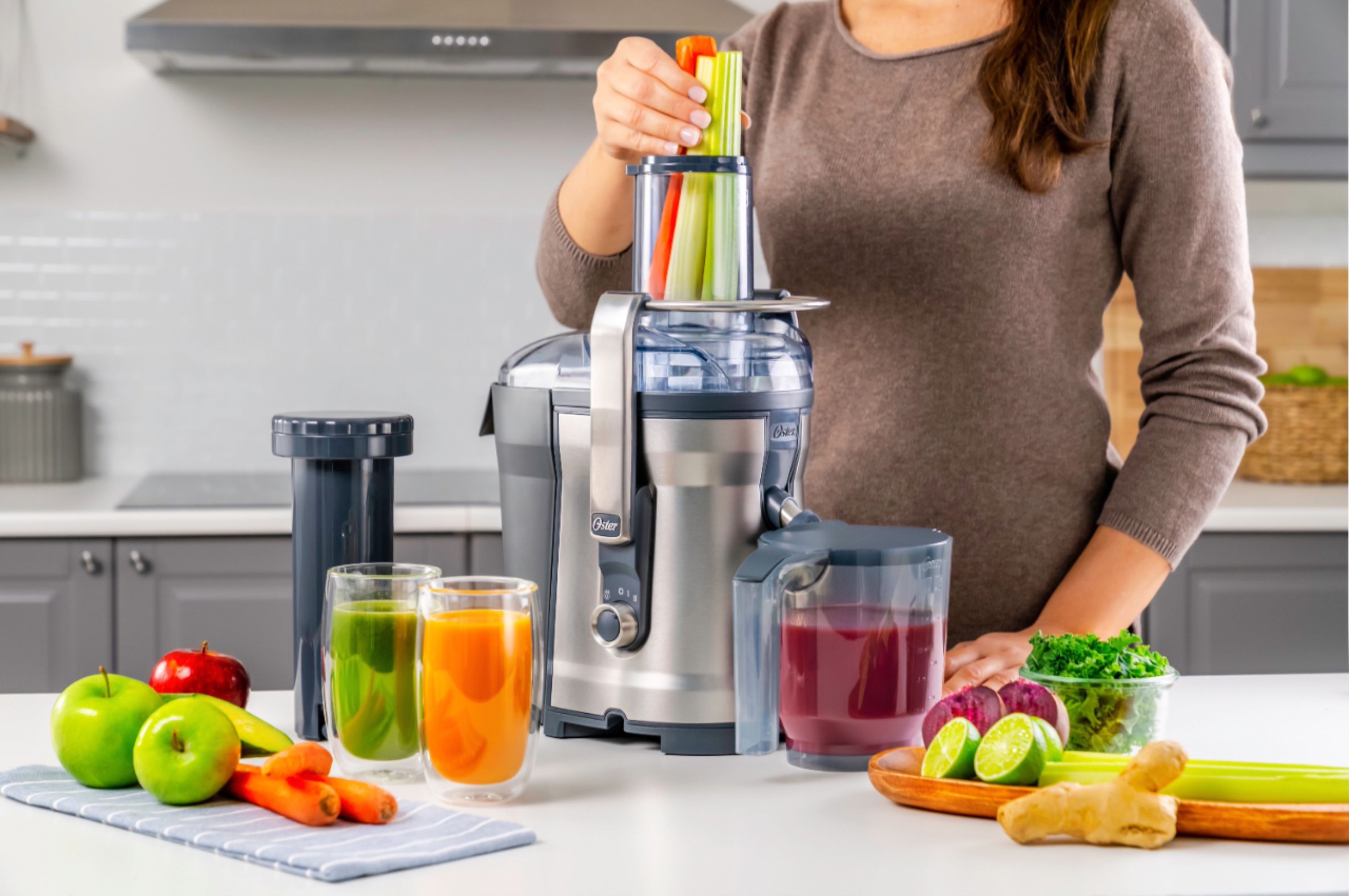 begynde prototype Forslag Best Buy: Oster Self-Cleaning Professional Juice Extractor, Stainless Steel  Juicer Stainless Steel 2126280