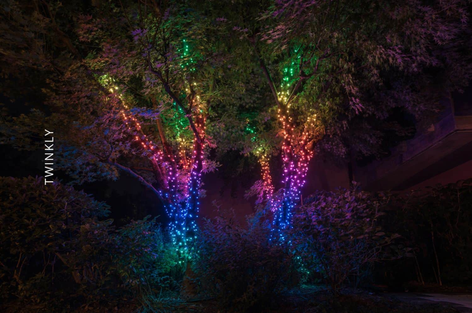 Alt View 22. Twinkly - Smart Light String 250 LED RGB Generation II - Multi.