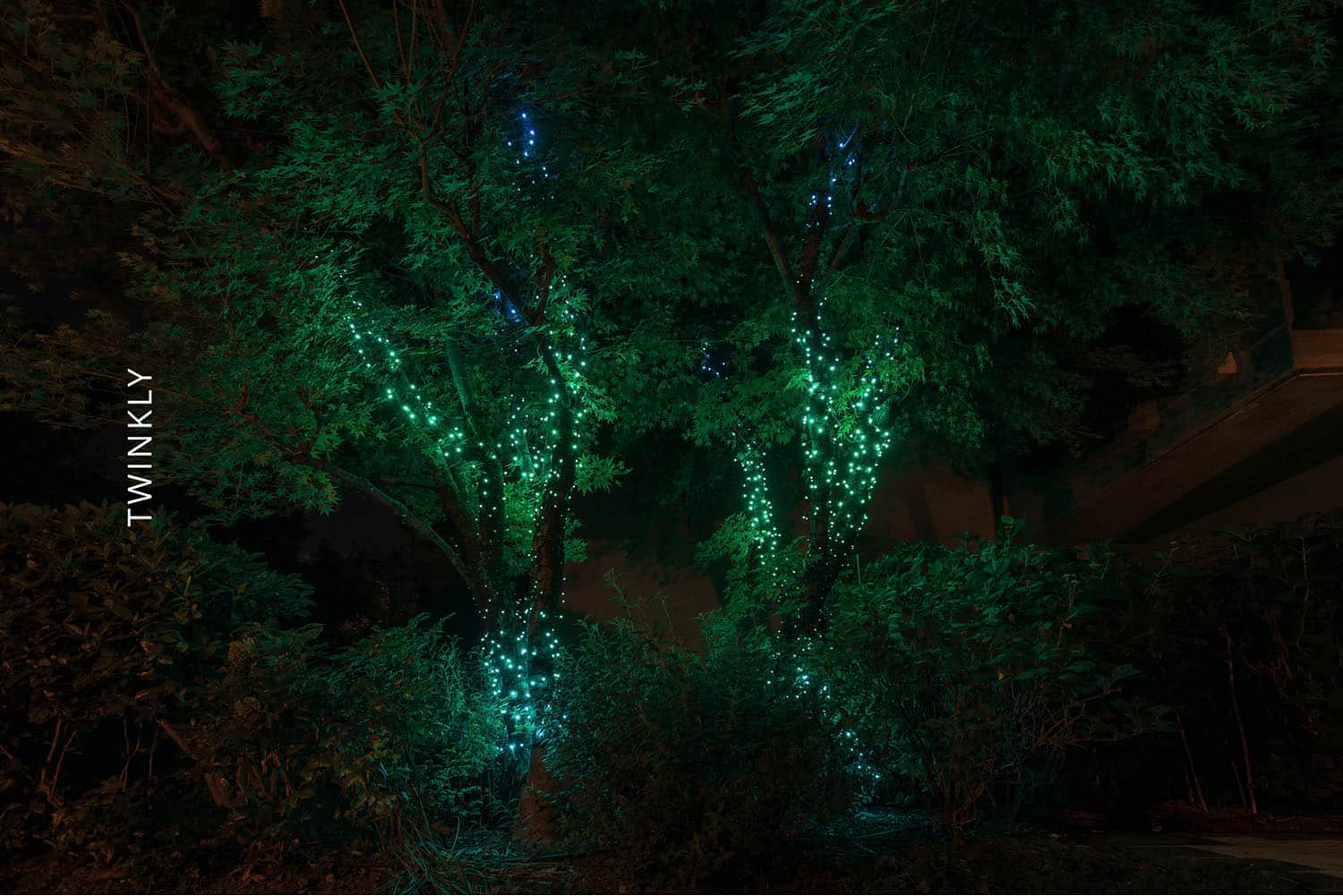 Alt View 18. Twinkly - Smart Light String 100 LED RGB Generation II - Multi.