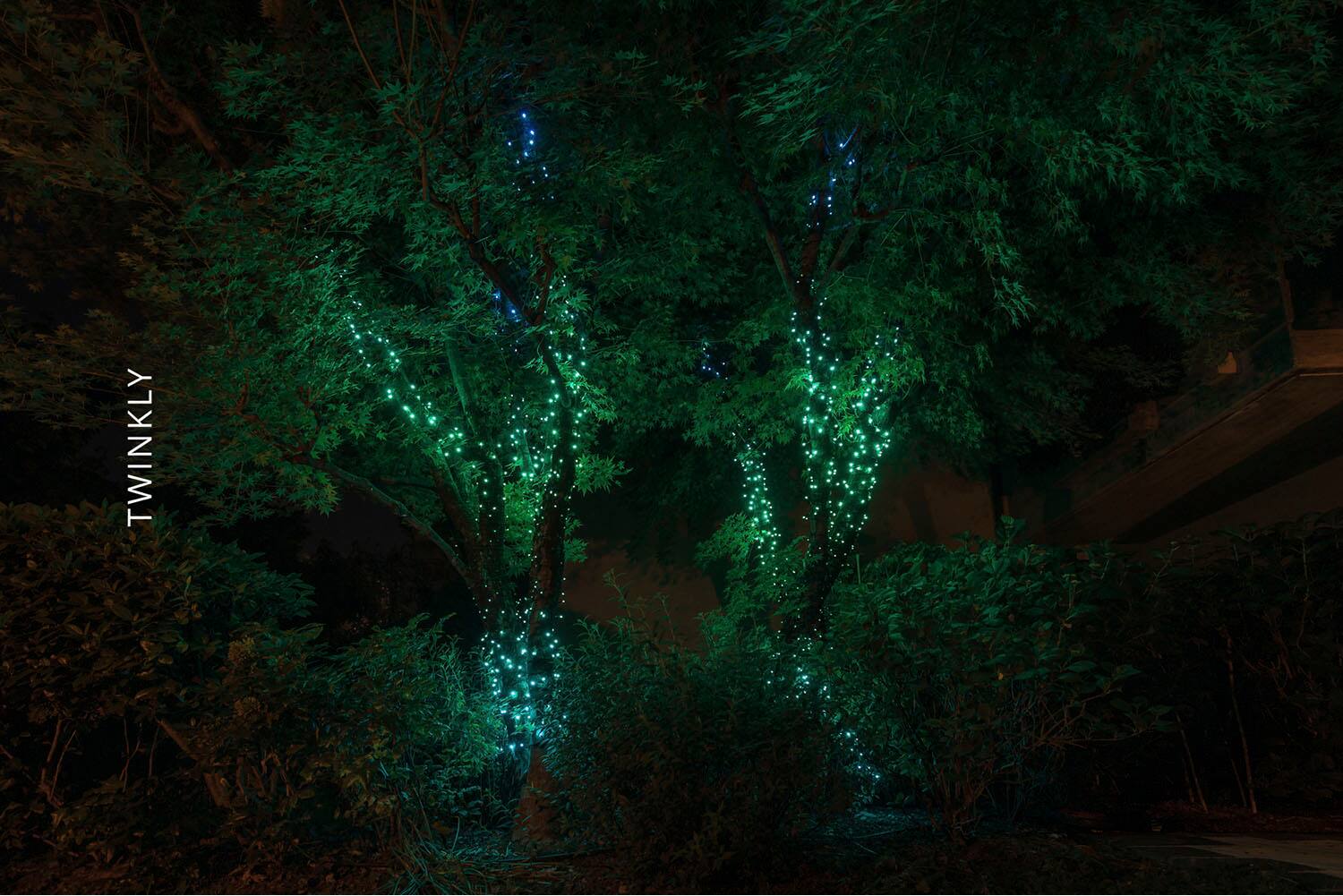 Alt View 18. Twinkly - Smart Light String 100 LED RGB Generation II - Multi.