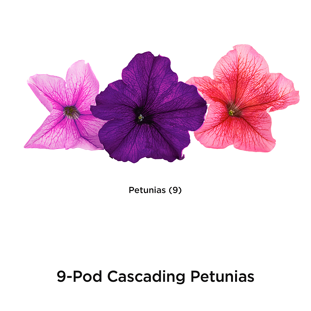 Left View: AeroGarden - Cascading Petunias (9-Pod) - Multi