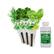 Angle. AeroGarden - Gourmet Herbs (3-Pod) - Green.