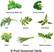 Alt View 11. AeroGarden - Gourmet Herbs (9-Pod) - Green.