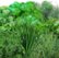 Left Zoom. AeroGarden - Gourmet Herbs (9-Pod) - Green.