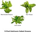 Alt View Zoom 11. AeroGarden - Heirloom Salad Greens (3-Pod) - Green.