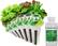 Angle. AeroGarden - Heirloom Salad Greens (6-Pod) - Green.