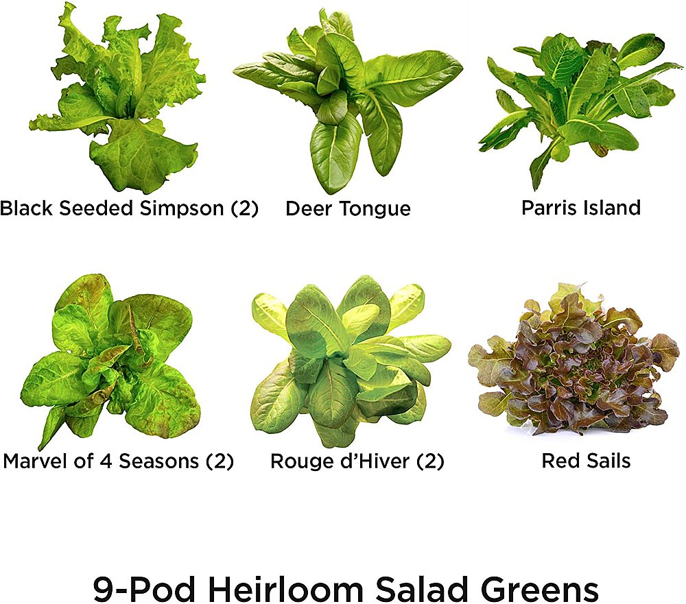 Left View: AeroGarden - Heirloom Salad Greens (9-Pod) - Green
