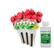 Angle. AeroGarden - Mighty Mini Cherry Tomatoes (3-Pod) - Red.
