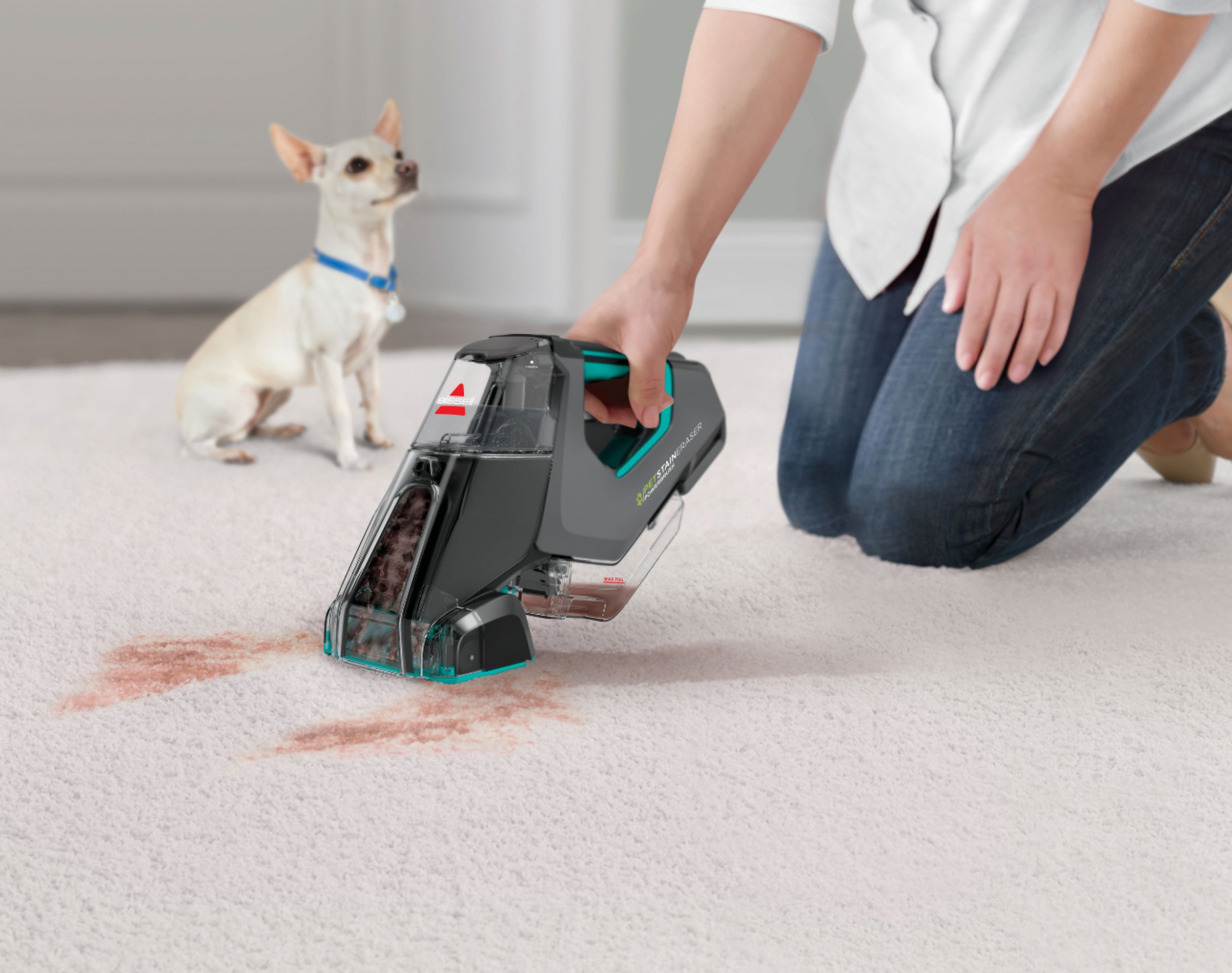 Bissell vs Black & Decker Cordless Carpet Spot Cleaner Pet Stain