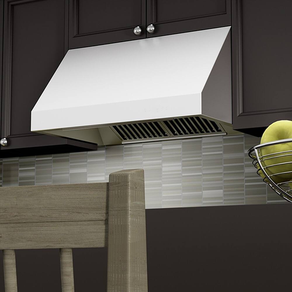 Best Buy ZLINE 48 in. Under Range Hood (68548) Stainless