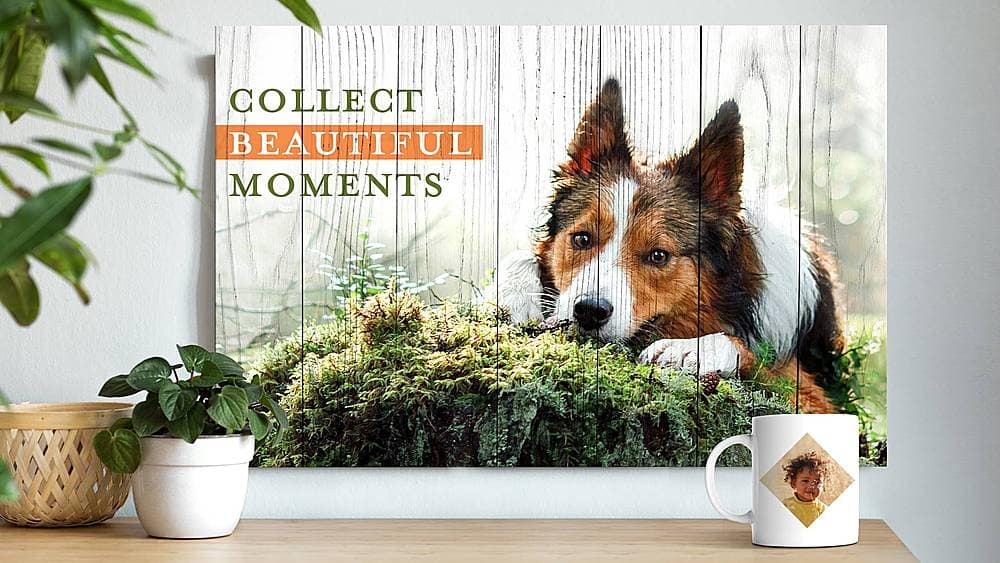 Alt View 21. Adobe - Photoshop Elements & Premier Elements 2021.