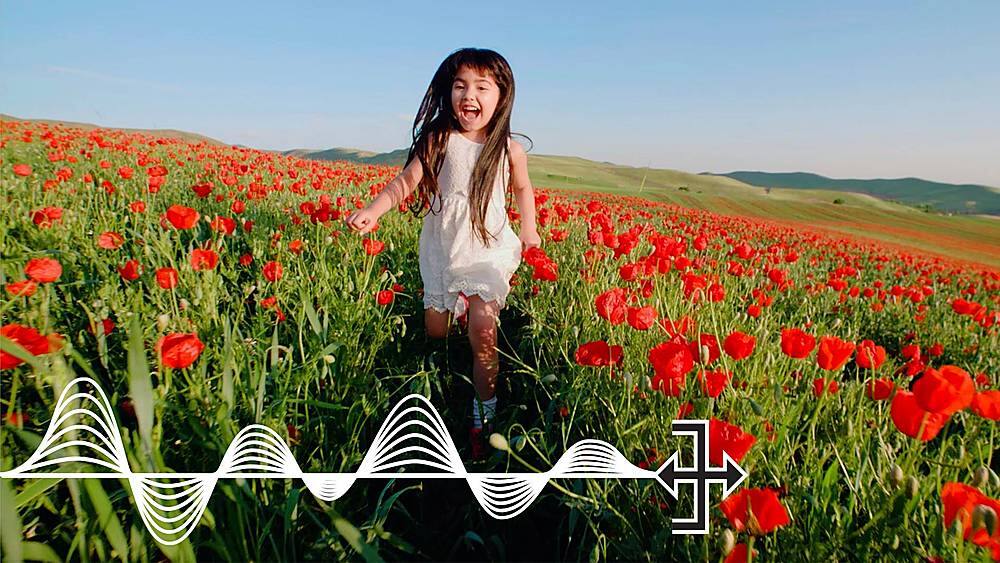 Alt View 36. Adobe - Photoshop Elements & Premier Elements 2021.