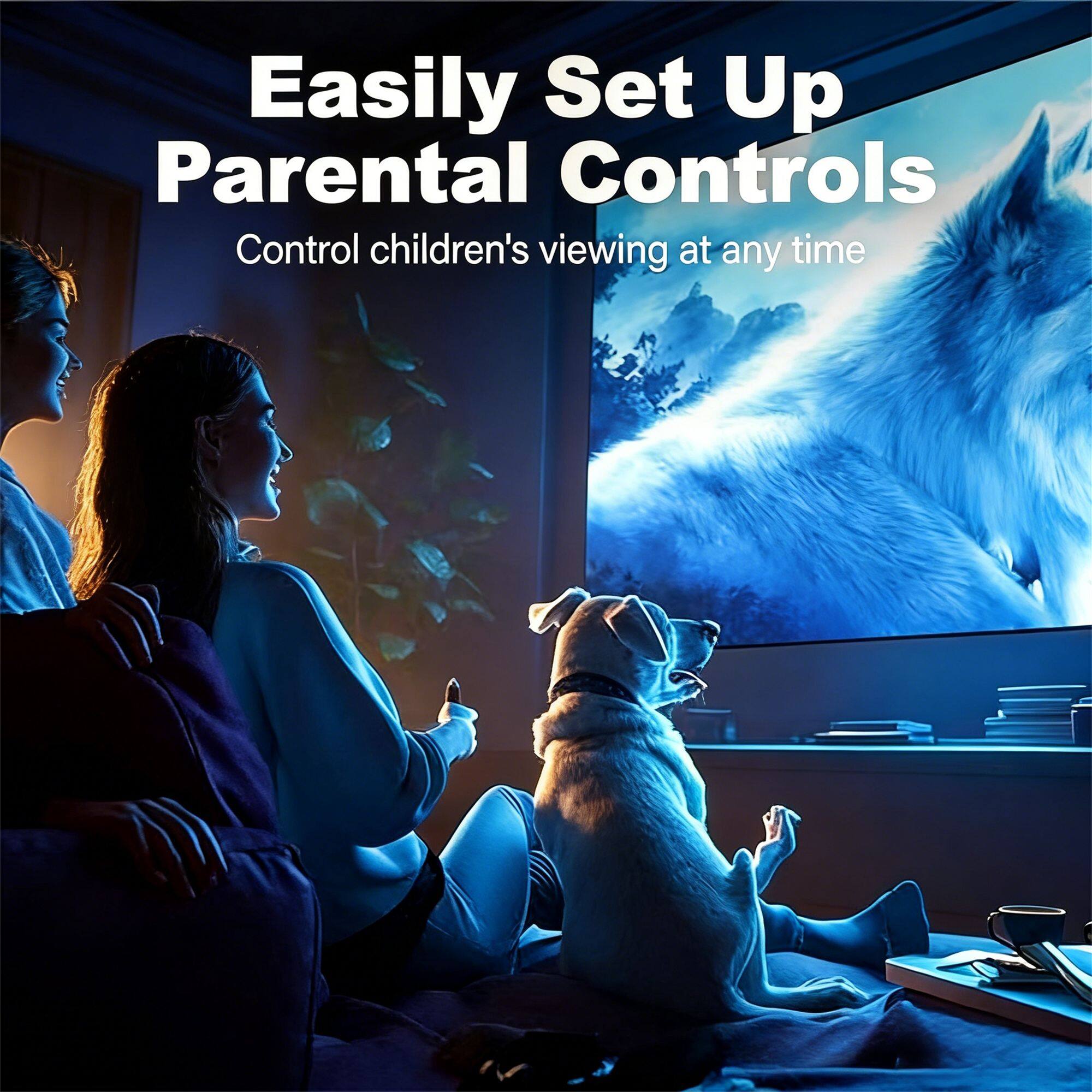 Easily Set Up Parental Controls  
Control children's viewing at any time