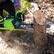 Alt View 22. Greenworks - 14 in. 40-Volt Cordless Brushless Chainsaw (2.5Ah Battery and Charger Included) - Black/Green.