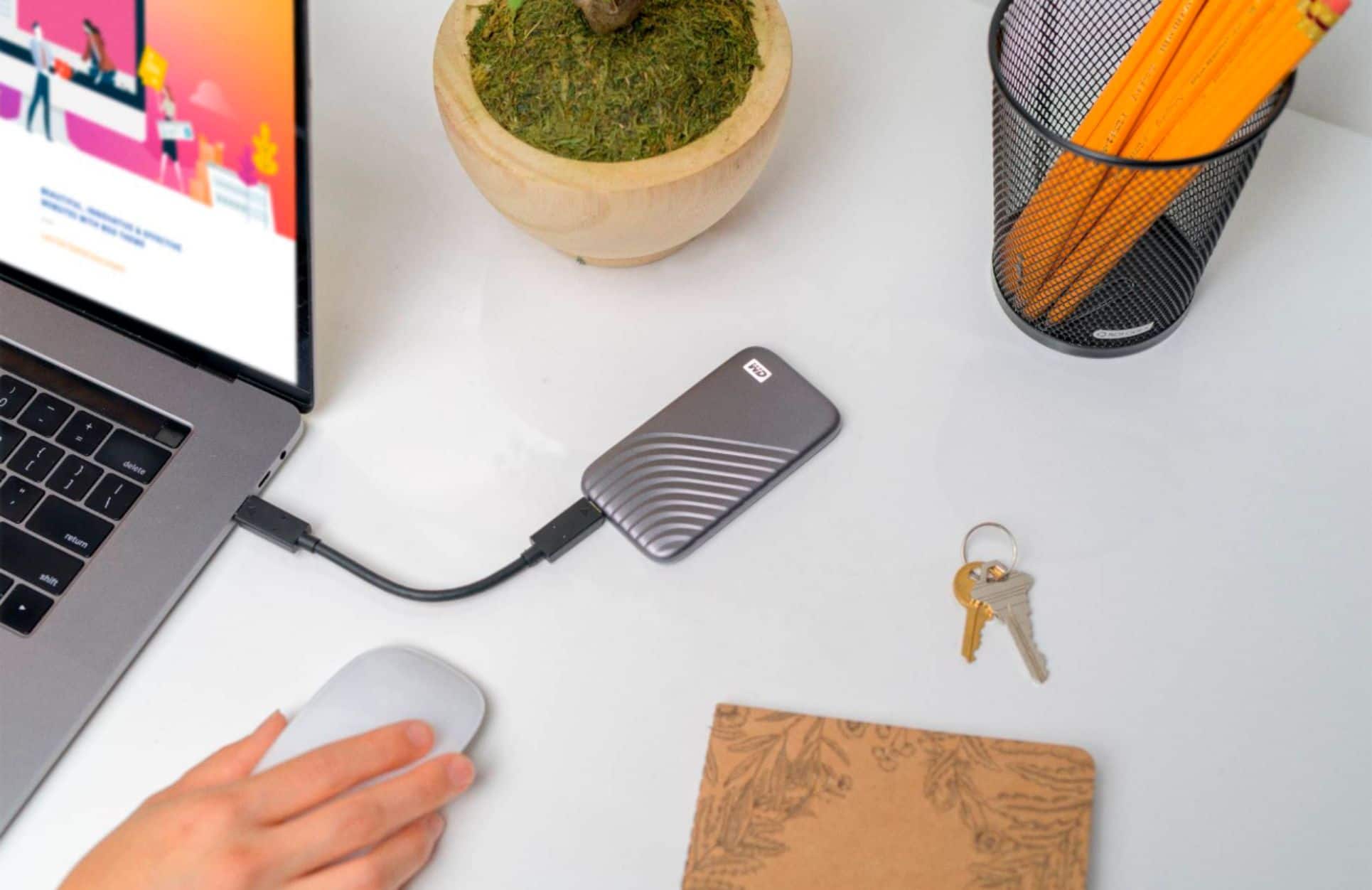 Alt View 15. WD - My Passport 2TB External USB Type-C Portable SSD - Space Gray.