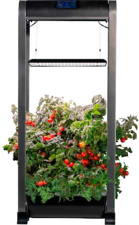 AeroGarden - Farm 12 XL – Easy Setup - Healthy eating garden kit – 12 Salad Bar Pods included- App Capability - Black